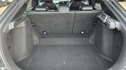 2020 (20) HONDA CIVIC 1.0 VTEC Turbo 126 EX 5dr 4754707