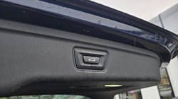 2020 (70) BMW 3 SERIES 320d MHT M Sport Plus Edition 5dr Step Auto 4829095