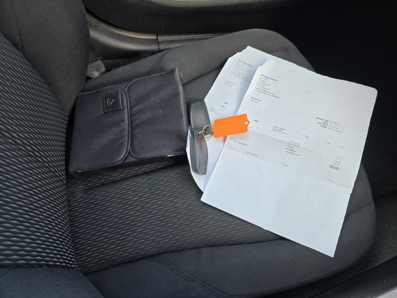 2019 (68) BMW 1 SERIES 116d SE Business 5dr [Nav/Servotronic] 4955921