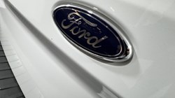 2023 (23) FORD COMMERCIAL TRANSIT CUSTOM 2.0 EcoBlue 130ps Low Roof D/Cab Limited Van 5301554