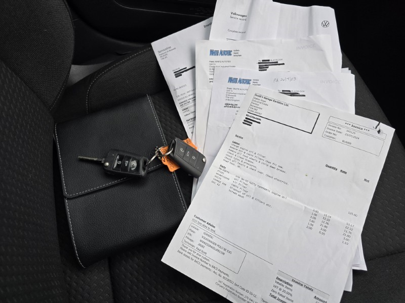 2020 (69) VOLKSWAGEN POLO 1.0 EVO 80 SE 5dr 4981042