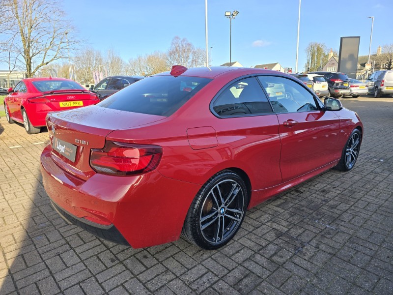 2019 (19) BMW 2 SERIES 218i M Sport 2dr [Nav] Step Auto 5081931