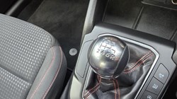 2019 (19) FORD FOCUS 1.0 EcoBoost 125 ST-Line 5dr 5142121