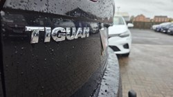 2019 (19) VOLKSWAGEN TIGUAN 1.5 TSi EVO 150 Match 5dr 5173435