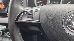 2020 (20) SKODA KAROQ 1.5 TSI SE L 5dr DSG 5181645