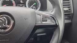 2020 (20) SKODA KAROQ 1.5 TSI SE L 5dr DSG 5181647