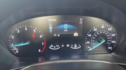 2019 (19) FORD FOCUS 1.0 EcoBoost 125 ST-Line 5dr 5221751