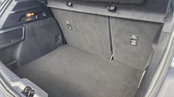 2019 (19) FORD FOCUS 1.0 EcoBoost 125 ST-Line 5dr 5221731