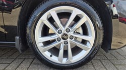 2023 (23) AUDI A3 35 TFSI Sport 5dr S Tronic 5261196