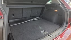 2019 (69) VOLKSWAGEN TIGUAN 2.0 TDi 150 Match 5dr 5310502