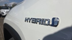 2019 (19) TOYOTA RAV4 2.5 VVT-i Hybrid Design 5dr CVT 5314820