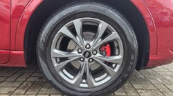 2020 (70) FORD KUGA 2.0 EcoBlue mHEV ST-Line 5dr 5292555