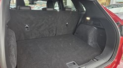 2020 (70) FORD KUGA 2.0 EcoBlue mHEV ST-Line 5dr 5292571