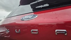 2020 (70) FORD KUGA 2.0 EcoBlue mHEV ST-Line 5dr 5292564