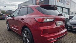 2020 (70) FORD KUGA 2.0 EcoBlue mHEV ST-Line 5dr 5292568