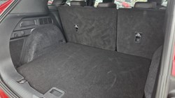 2020 (70) FORD KUGA 2.0 EcoBlue mHEV ST-Line 5dr 5292572