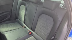 2025 (25) SEAT IBIZA 1.0 TSI 115 Xcellence 5dr DSG 5310368