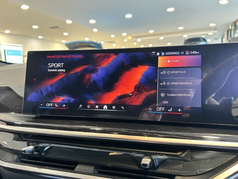  BMW X6 xDrive40i MHT M Sport 5dr Step Auto [Tech/Pro Pk] 4793232