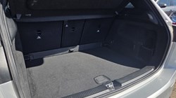 2020 (69) MERCEDES-BENZ B CLASS B220d AMG Line Premium Plus 5dr Auto 5334980