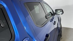 2024 (74) FORD COMMERCIAL RANGER Pick Up D/Cab Wildtrak X 2.0 EcoBlue 205 Auto 5345087