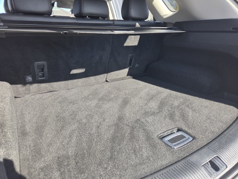 2024 (24) MG MOTOR UK HS 1.5 T-GDI SE 5dr DCT 5335702