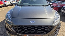 2021 (21) FORD KUGA 2.0 EcoBlue mHEV ST-Line Edition 5dr 5336725