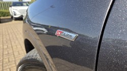 2021 (21) FORD KUGA 2.0 EcoBlue mHEV ST-Line Edition 5dr 5336730