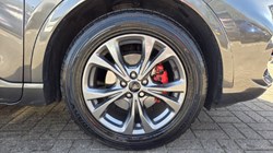 2021 (21) FORD KUGA 2.0 EcoBlue mHEV ST-Line Edition 5dr 5336722