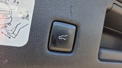 2021 (21) FORD KUGA 2.0 EcoBlue mHEV ST-Line Edition 5dr 5336742