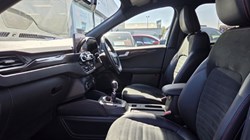 2021 (21) FORD KUGA 2.0 EcoBlue mHEV ST-Line Edition 5dr 5336750