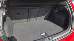 2019 (19) VOLKSWAGEN GOLF 1.5 TSI EVO 150 Match 5dr 5384573