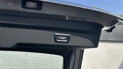 BMW X2 sDrive 20i M Sport 5dr Step Auto 5198152