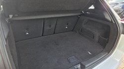 2019 (19) MERCEDES-BENZ B CLASS B200d AMG Line Premium 5dr Auto 5438424
