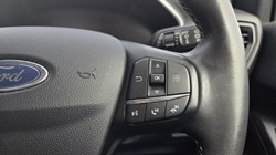 2019 (19) FORD FOCUS 1.0 EcoBoost 125 Titanium X 5dr 5438281