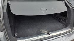 2019 (68) AUDI A4 40 TFSI S Line 5dr S Tronic 5465981