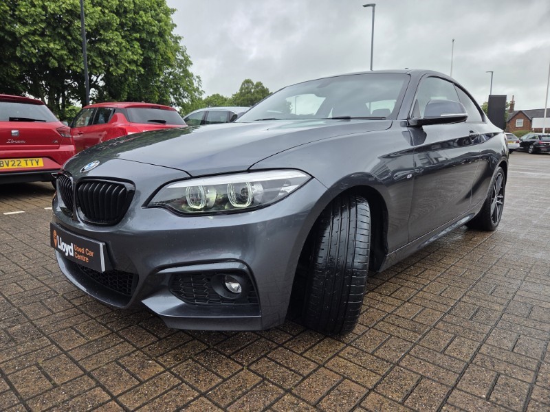 2019 (69) BMW 2 SERIES 218d M Sport 2dr Step Auto [Nav] 5480944