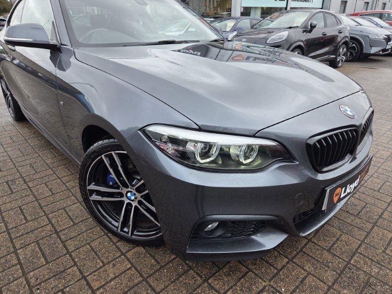 2019 (69) BMW 2 SERIES 218d M Sport 2dr Step Auto [Nav] 5480941