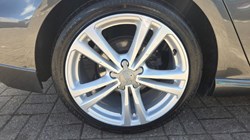 2019 (69) AUDI A3 35 TFSI S Line 5dr S Tronic 5519119