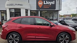 2020 (70) FORD KUGA 2.0 EcoBlue mHEV ST-Line X First Edition 5dr 5519063