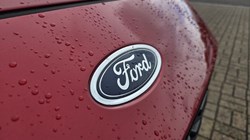 2020 (70) FORD KUGA 2.0 EcoBlue mHEV ST-Line X First Edition 5dr 5519071
