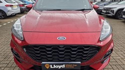 2020 (70) FORD KUGA 2.0 EcoBlue mHEV ST-Line X First Edition 5dr 5519067