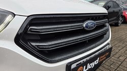 2019 (69) FORD KUGA 2.0 TDCi 180 ST-Line Edition 5dr Auto 5528674