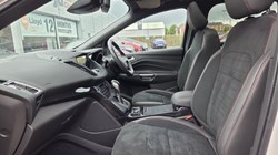 2019 (69) FORD KUGA 2.0 TDCi 180 ST-Line Edition 5dr Auto 5528696