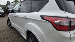 2019 (69) FORD KUGA 2.0 TDCi 180 ST-Line Edition 5dr Auto 5528677