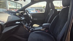 2017 (67) FORD KUGA 2.0 TDCi 180 ST-Line 5dr 5596870