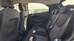 2019 (19) FORD KA PLUS 1.2 85 Zetec 5dr 5674873
