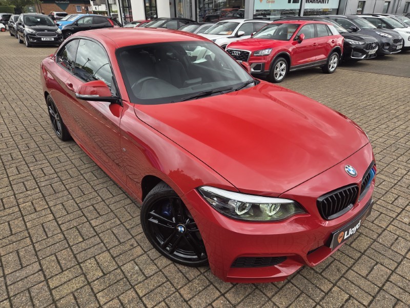 2019 (69) BMW 2 SERIES 218i M Sport 2dr [Nav] 5726886