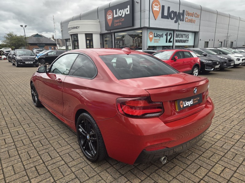 2019 (69) BMW 2 SERIES 218i M Sport 2dr [Nav] 5726892