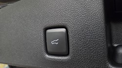 2024 (24) FORD KUGA 2.5 FHEV ST-Line X Edition 5dr CVT 5759851