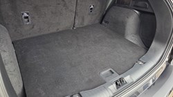 2024 (24) FORD KUGA 2.5 FHEV ST-Line X Edition 5dr CVT 5759849